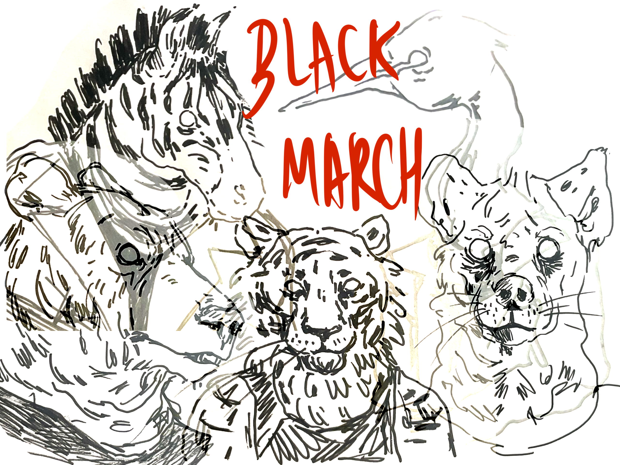 Illustration Black March - Lauren Orcier-Pineau